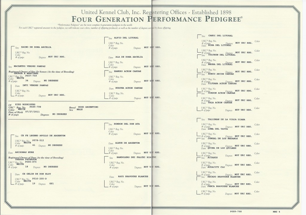 kiko's pedigree